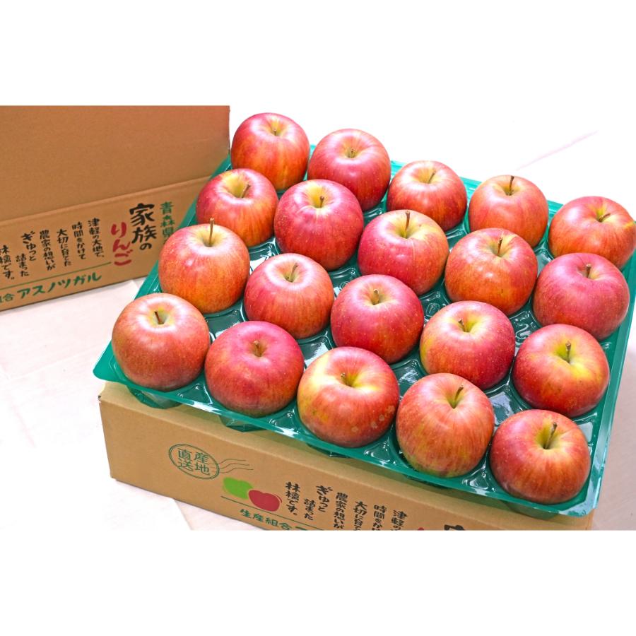 シナノスイート家庭用5kg/平均糖度13度以上【もったいない！を食べよう】2月発送