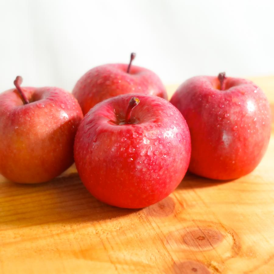 サンふじ贈答用10kg/平均糖度13度以上(３月発送)