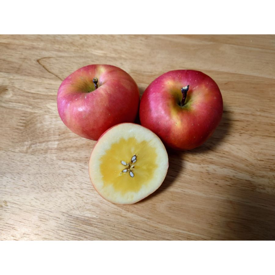 <山善 齊藤農園>葉とらず高徳 2.5kg