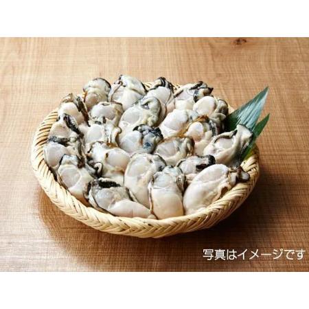 ＜大和田家の牡蠣＞生牡蠣むき身（加熱用）1kg