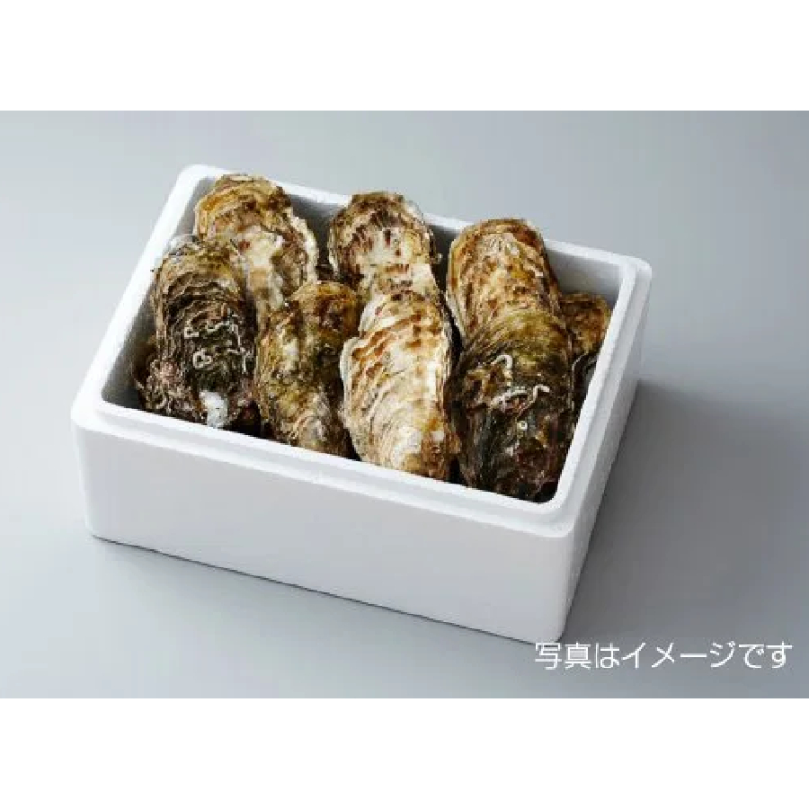 <大和田家の牡蠣>殻付き牡蠣Lサイズ10個(加熱用)