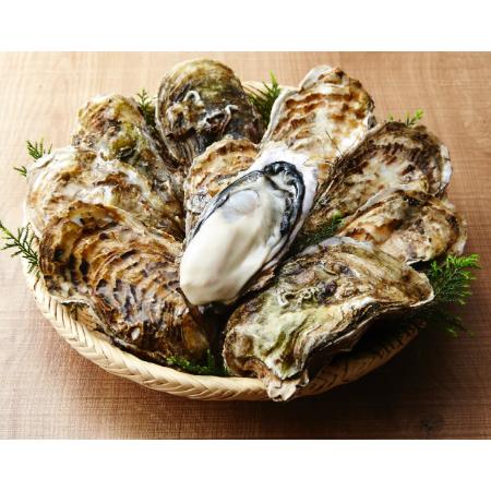 ＜大和田家の牡蠣＞殻付き牡蠣Lサイズ10個（加熱用）
