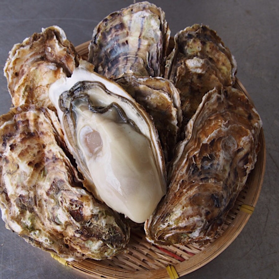<横綱牡蠣の吉田水産>むき身牡蠣 加熱用 Mサイズ 600g(300g×2)