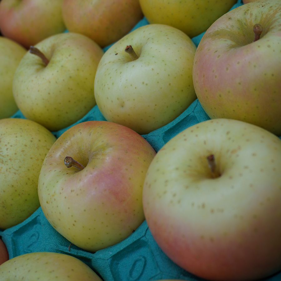 奥州市産「紅いわて」＆江刺りんご「トキ」5kg