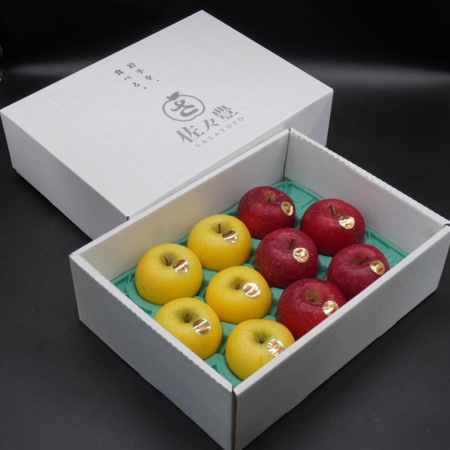 江刺りんご「サンふじ&シナノゴールド」化粧箱2.5kg