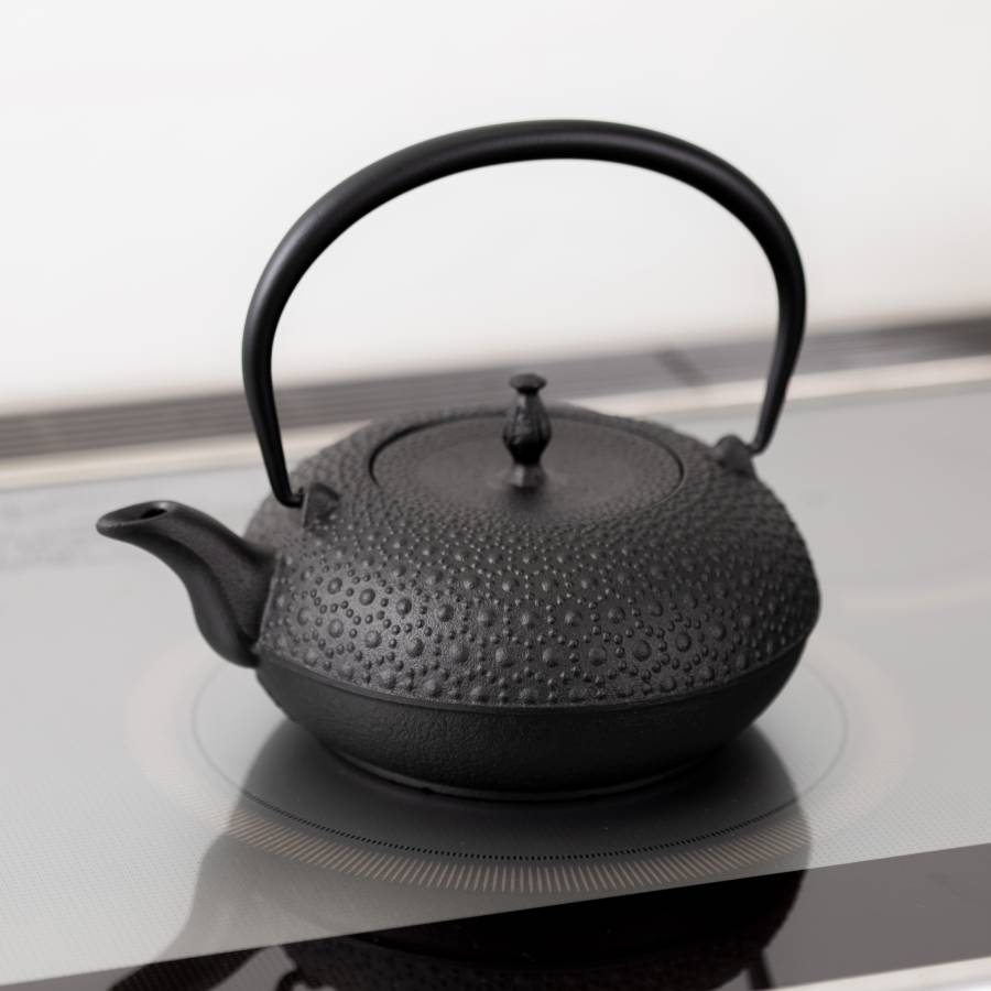 <OIGEN>南部鉄器 鉄瓶 東雲亀甲1.0L