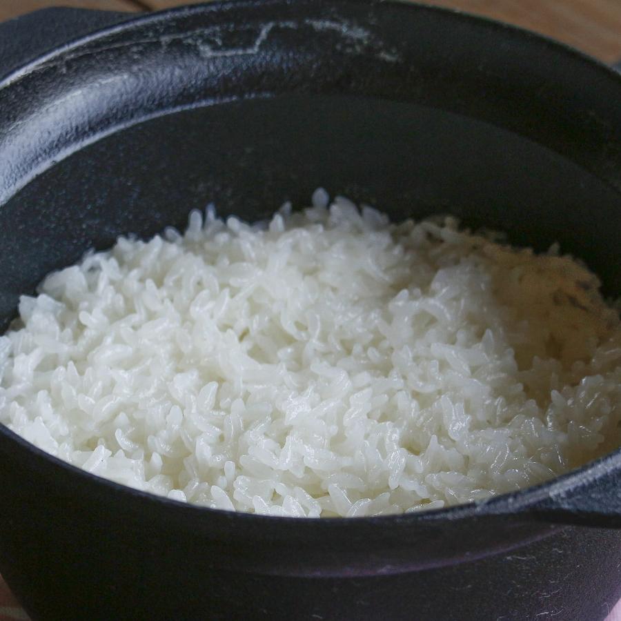 <OIGEN>南部鉄器 南部ごはん釜 2合炊 (IH対応)