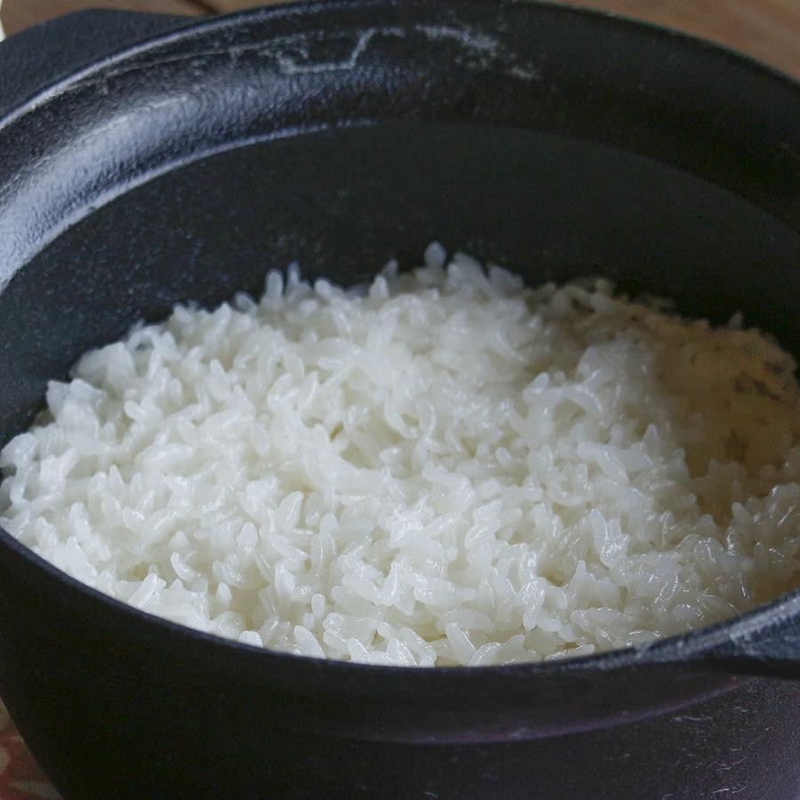 <OIGEN>南部鉄器 南部ごはん釜 3合炊 (IH対応)