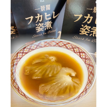 ＜ホテル一景閣＞フカヒレ姿煮160g（スープ含む）×10箱