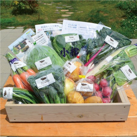 ＜岩沼みんなの家＞「みんなの直売！野菜」セット詰め合わせ