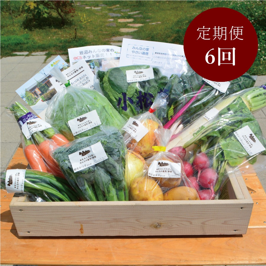 <岩沼みんなの家>【毎月届く定期便6カ月コース】「みんなの直売!野菜」セット詰め合わせ