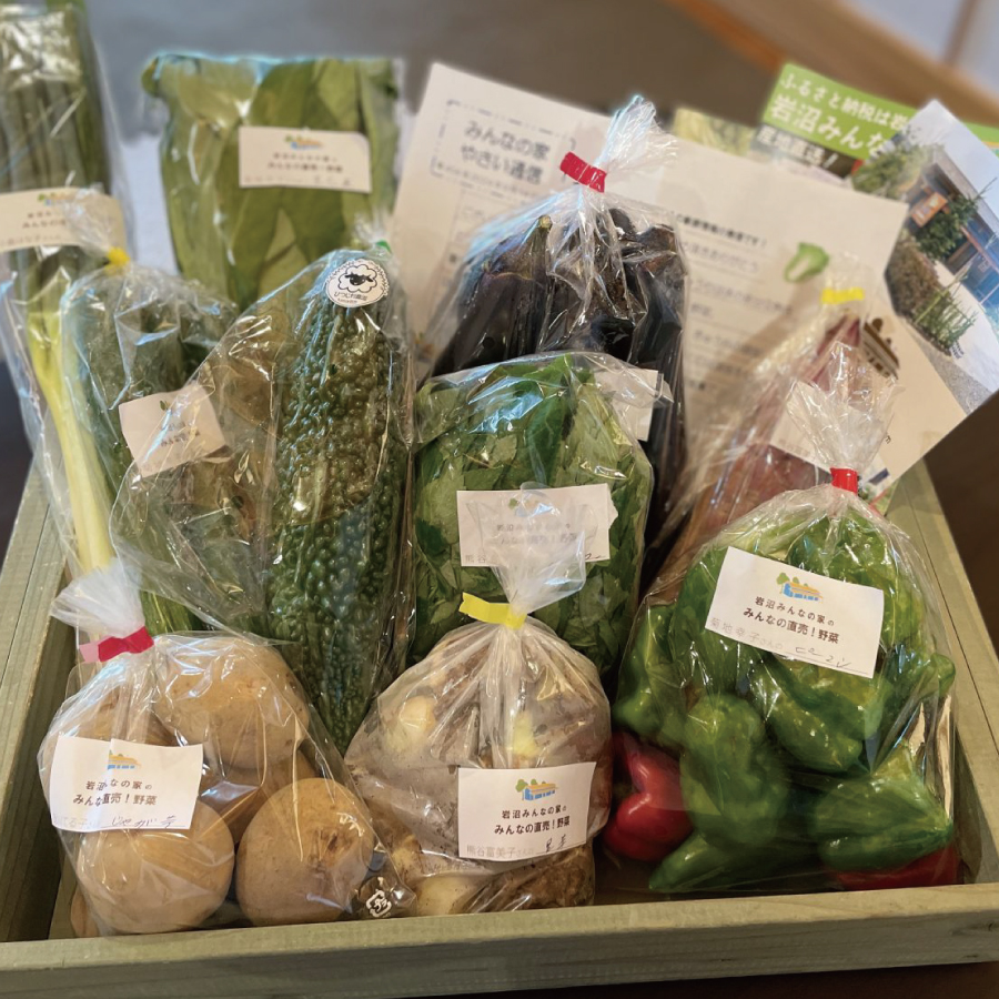 <岩沼みんなの家>【毎月届く定期便6カ月コース】「みんなの直売!野菜」セット詰め合わせ