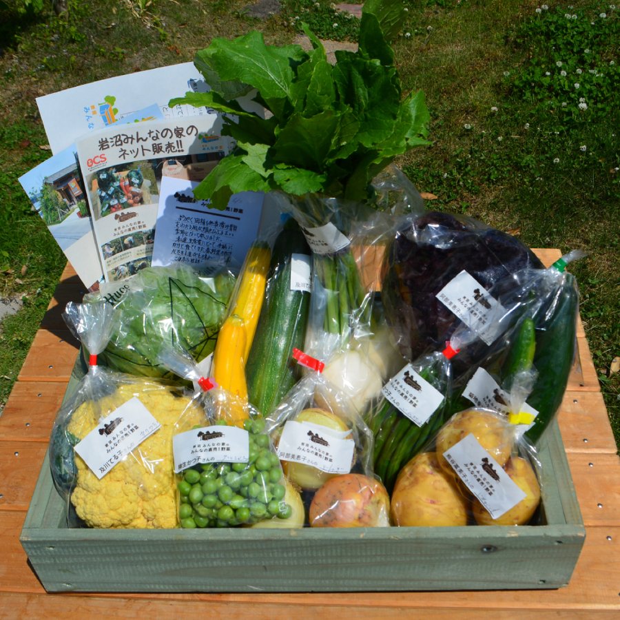 ＜岩沼みんなの家＞【毎月届く定期便12カ月コース】「みんなの直売！野菜」セット詰め合わせ