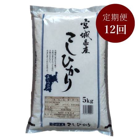 宮城県栗原産コシヒカリ5kg(5kg×1袋)定期便12ヵ月コース