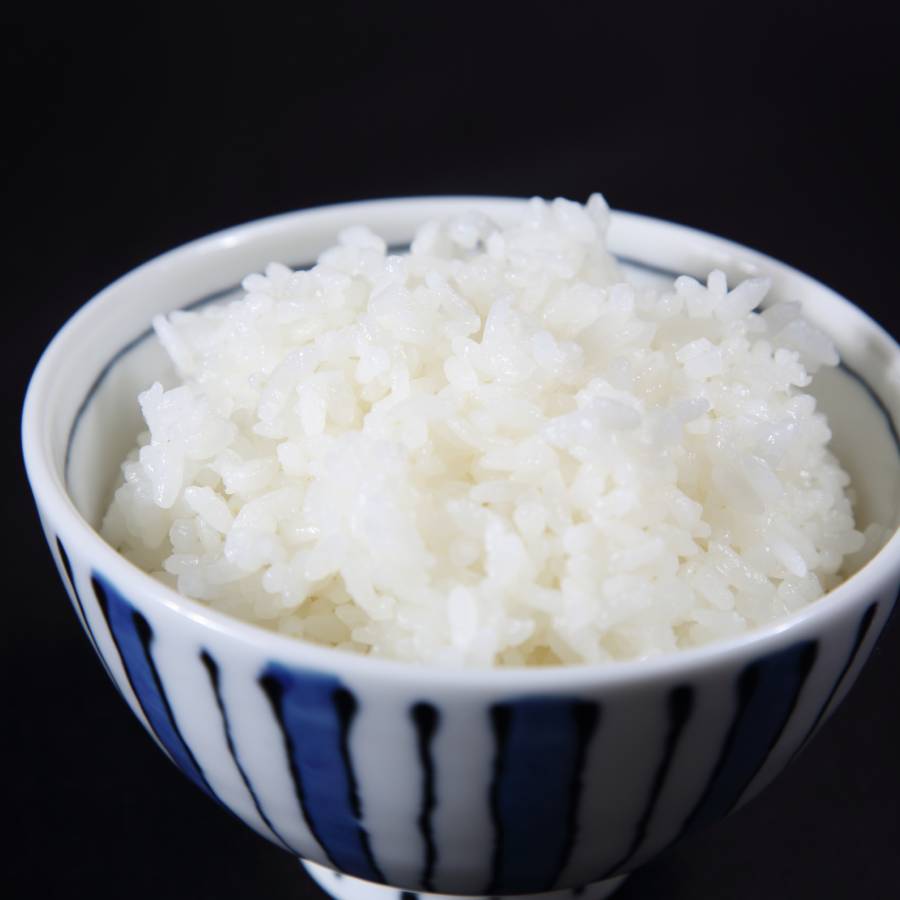 ＜JAこまち＞秋田県産あきたこまち　無洗米　１０kg(５kg×2袋)定期便１２ヵ月コース