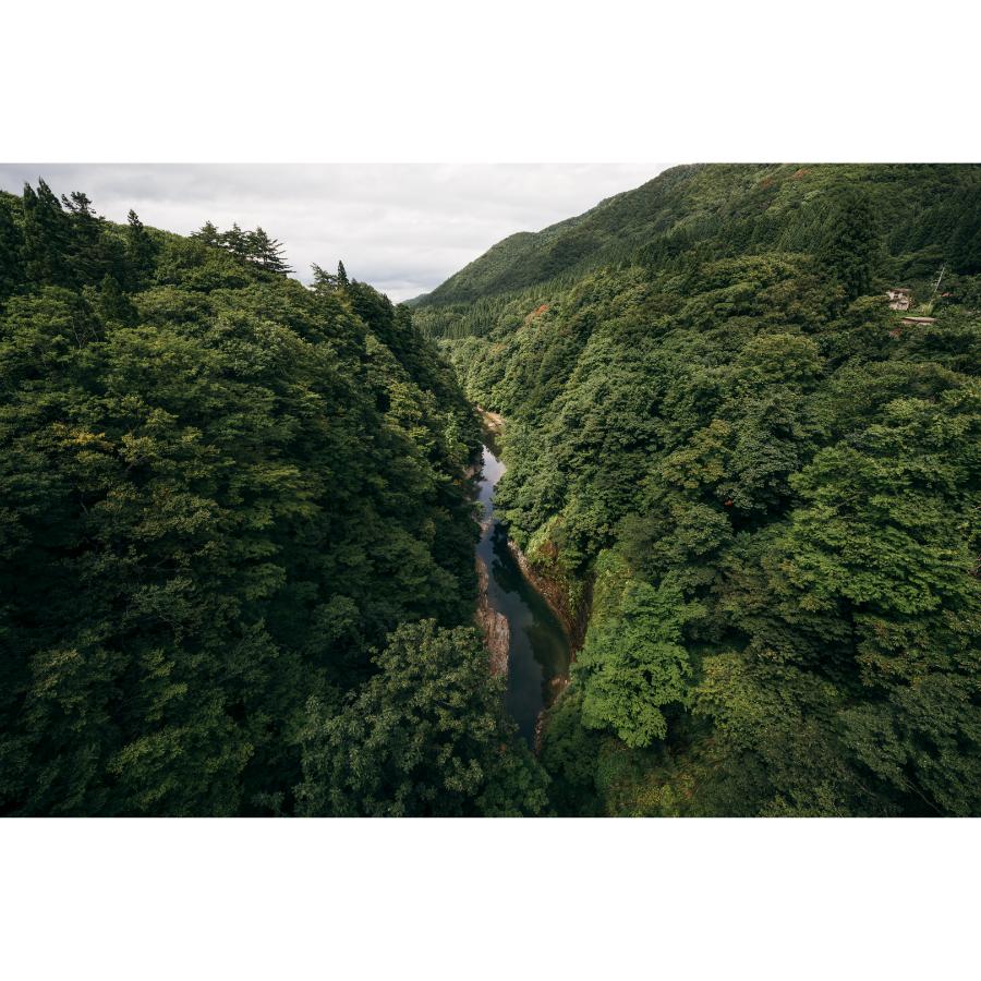 ＜MINASE/ミナセ＞蒔絵 “小紋” VM15-LBKMA2-SSD