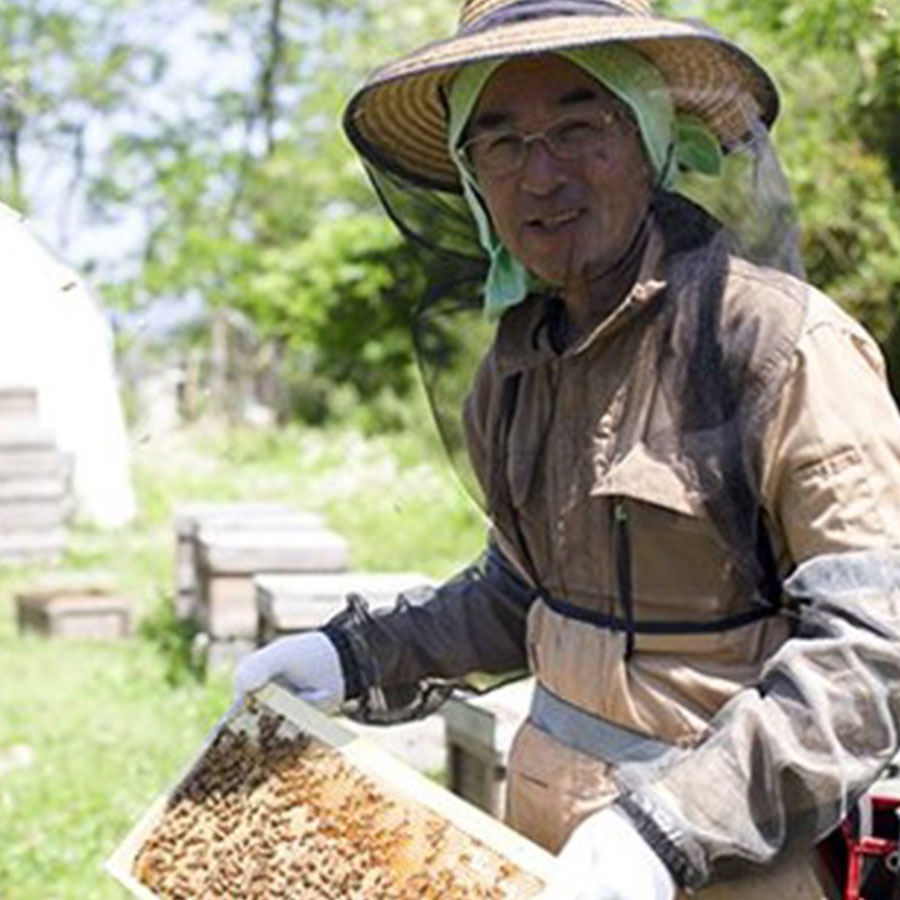 ＜十和田養蜂場＞鹿角産天然アカシア蜂蜜　160ｇ×４個