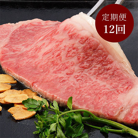 米沢牛 毎月届く肉の定期便 12ヵ月コース(3月開始)