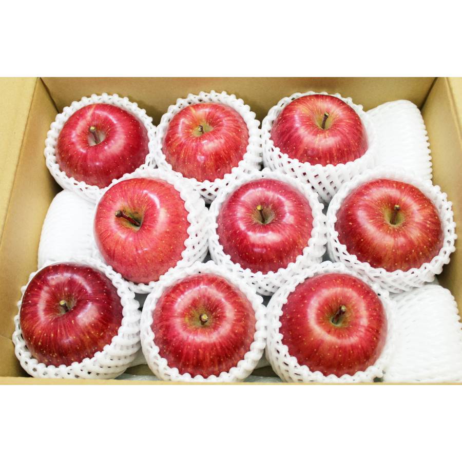 舘山りんご(サンふじ・秀品)大玉・3kg(8~10玉)