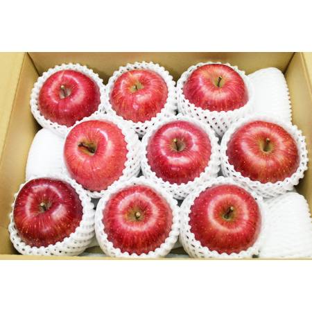 舘山りんご（サンふじ・秀品）大玉・３ｋｇ（８～１０玉）