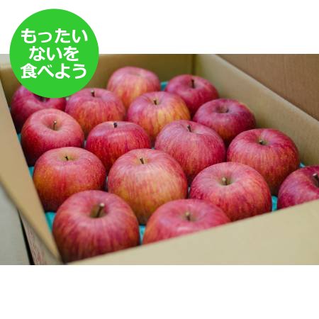 【もったいない！を食べよう】舘山りんご（サンふじ・ご家庭用）5ｋｇ（13～23玉）