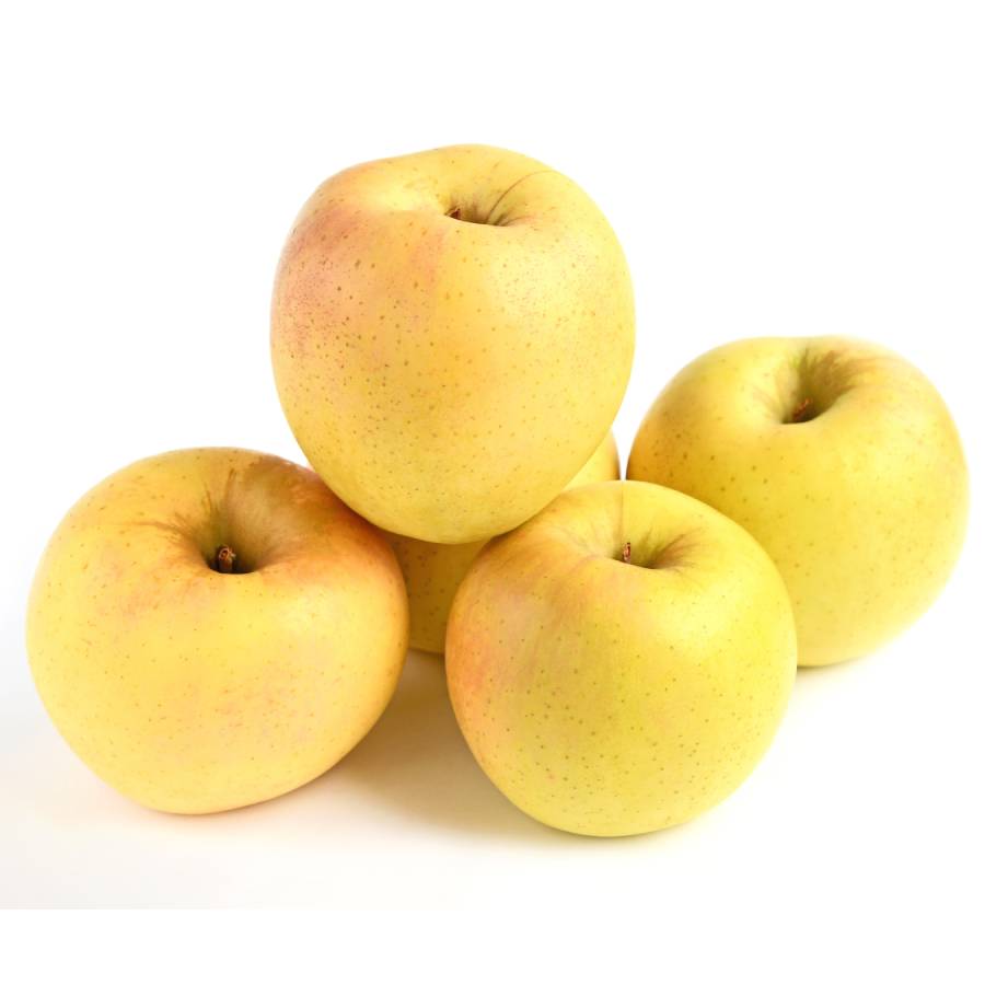 ＜中山果樹園＞舘山りんご（サンフジ＆あまみつき・秀品）2ｋｇ(６玉～８玉）