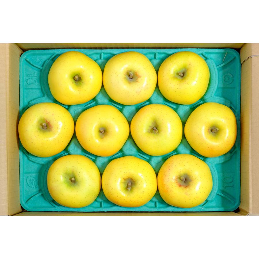 ＜中山果樹園＞舘山りんご（あまみつき・秀品）2.5ｋｇ（8玉～10玉）