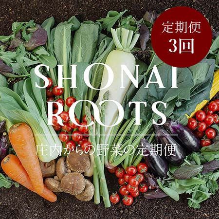 【毎月届く定期便3カ月コース】＜SHONAI ROOTS＞旬の野菜セット
