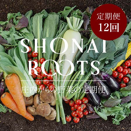 【毎月届く定期便12カ月コース】＜SHONAI ROOTS＞旬の野菜セット
