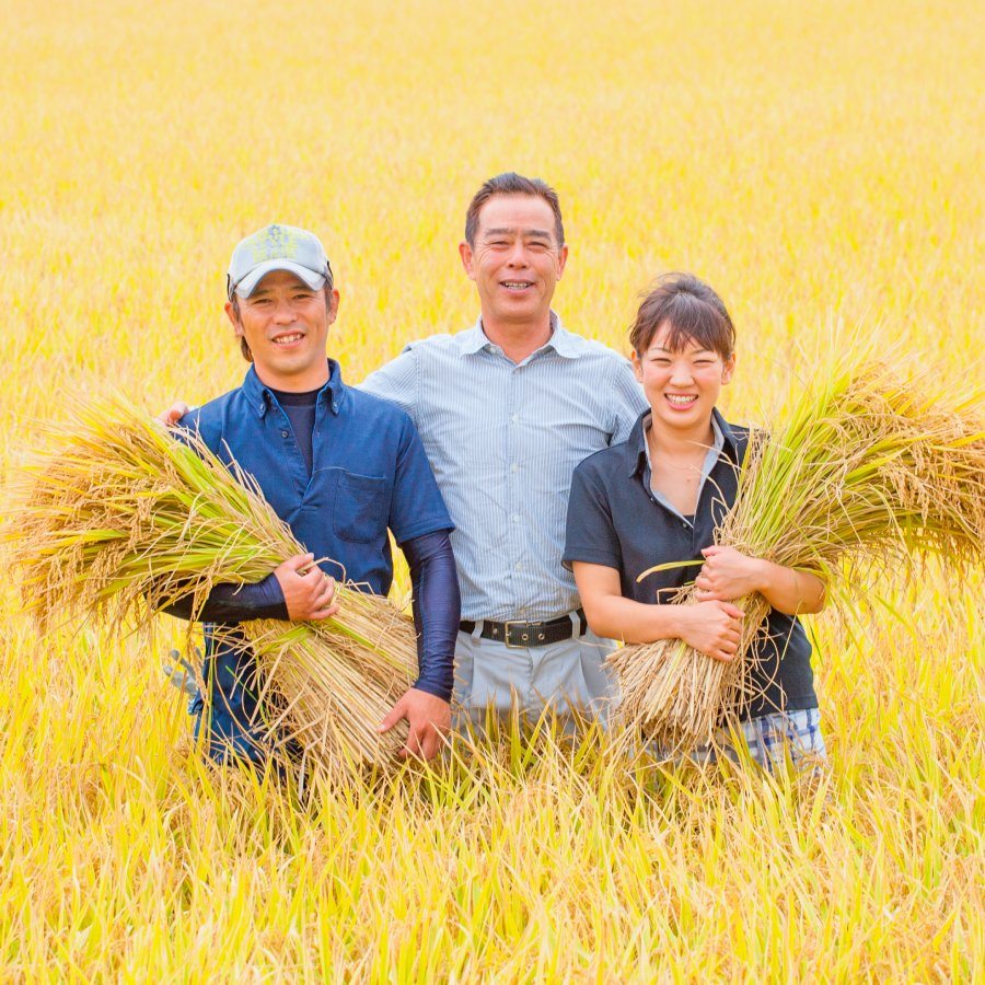 ＜井上農場＞特別栽培米 食べ比べ 2kg4品種
