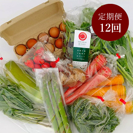 【毎月届く定期便１２ヵ月コース】＜SHONAI ROOTS＞平飼い卵と旬の野菜セット 6月開始