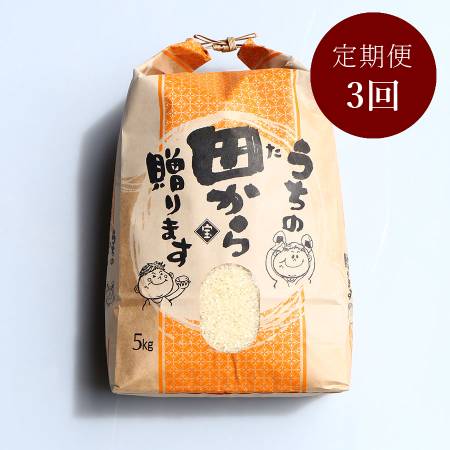 ＜リルストーリア 指村農園＞極みのササニシキ5kg　定期便3か月コース
