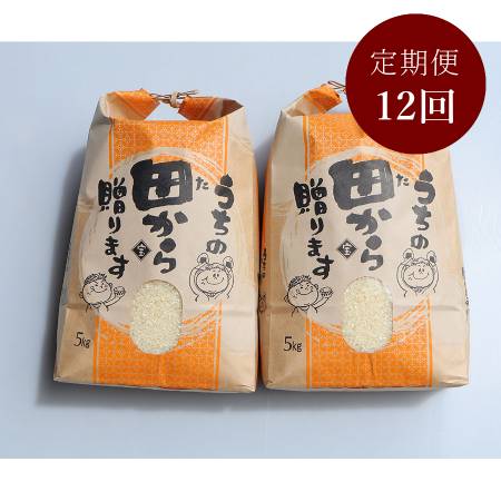 ＜リルストーリア 指村農園＞極みのササニシキ10kg　定期便12カ月コース