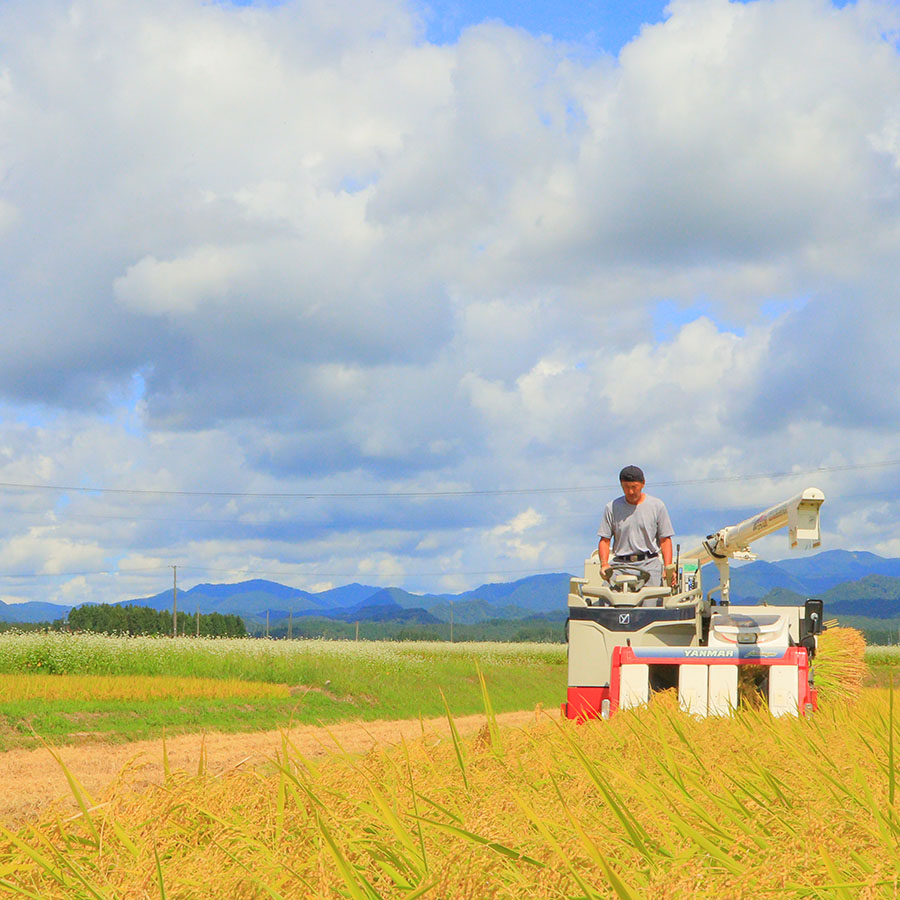 ＜リルストーリア 指村農園＞極みノはえぬき10kg　定期便6か月コース