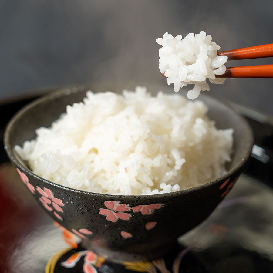 ＜リルストーリア 指村農園＞極みノはえぬき10kg　定期便12か月コース