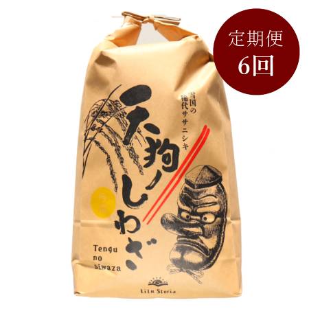＜リルストーリア 指村農園＞極みのササニシキ5kg　定期便6か月コース