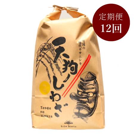 ＜リルストーリア 指村農園＞極みのササニシキ5kg　定期便12か月コース