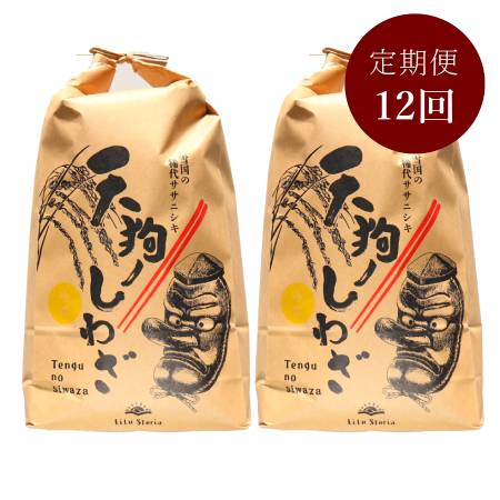＜リルストーリア 指村農園＞極みのササニシキ10kg　定期便12カ月コース