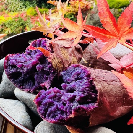 ＜リルストーリア 指村農園＞農薬・化学肥料不使用 ホクホク甘～い『至福のふくむらさき』大～中サイズ混合2kg