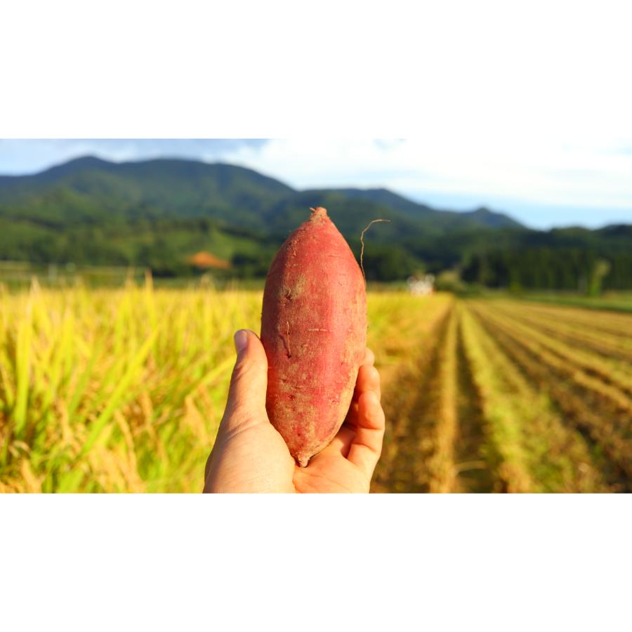 <リルストーリア 指村農園>農薬・化学肥料不使用 ホクホク甘~い至福のシルクスイート サイズ大~中混合2kg