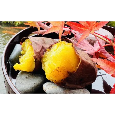 ＜リルストーリア 指村農園＞農薬・化学肥料不使用 ホクホク甘～い至福のシルクスイート サイズ大～小混合5kg