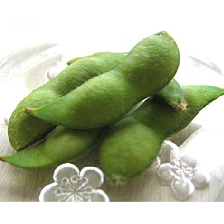 ＜丸松青果＞寒河江産枝豆「秘伝豆」A品２kg