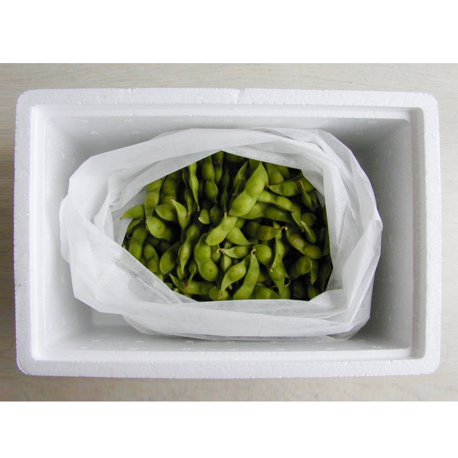 ＜丸松青果＞寒河江産枝豆「秘伝豆」A品２kg