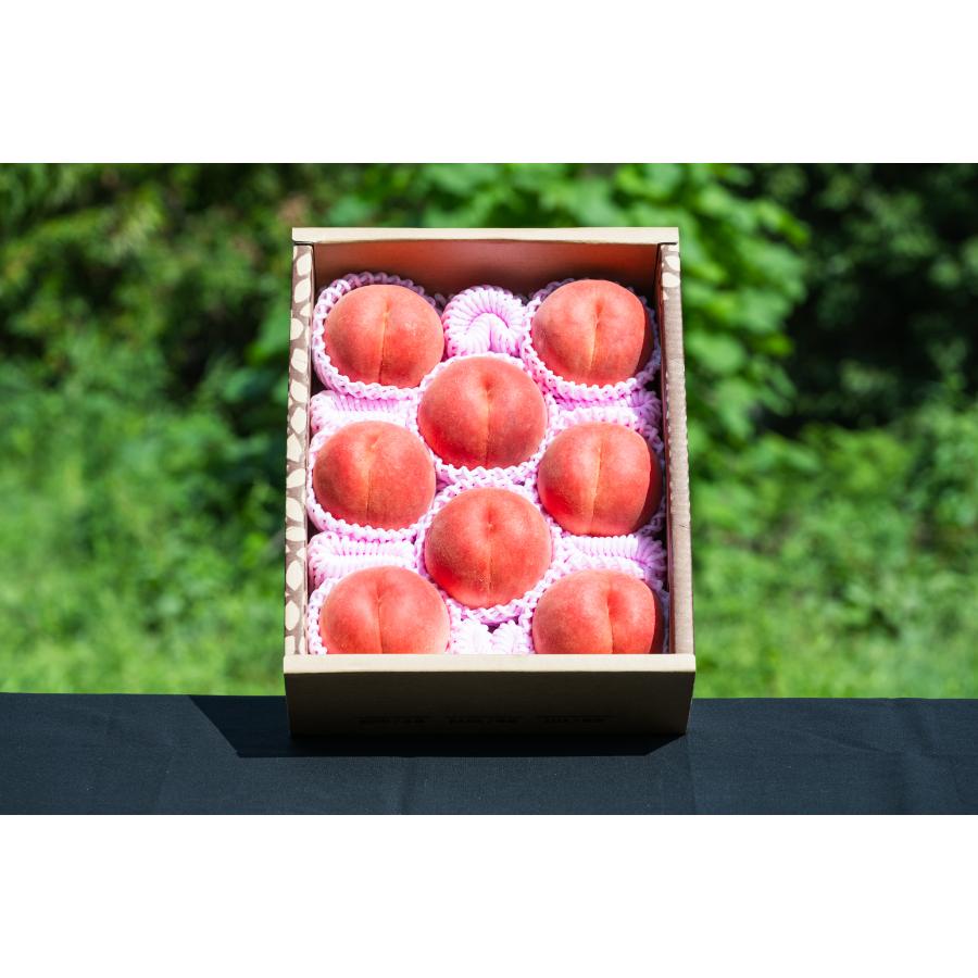 ＜アンスリーファーム＞硬めの白桃　秀品　品種おまかせ　3kg
