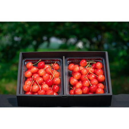 ＜アンスリーファーム＞紅秀峰 秀 L以上 バラ600g