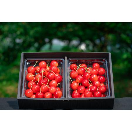 ＜アンスリーファーム＞紅秀峰 特秀 L以上 バラ600g