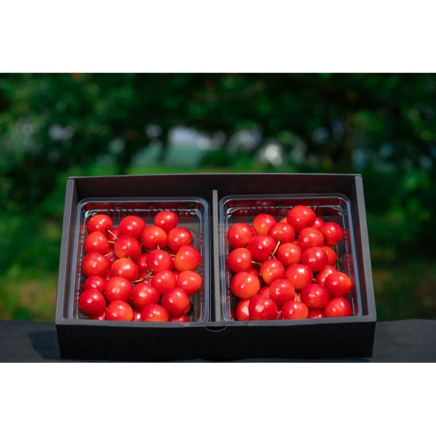 ＜アンスリーファーム＞特秀品Aコース【定期便4回】