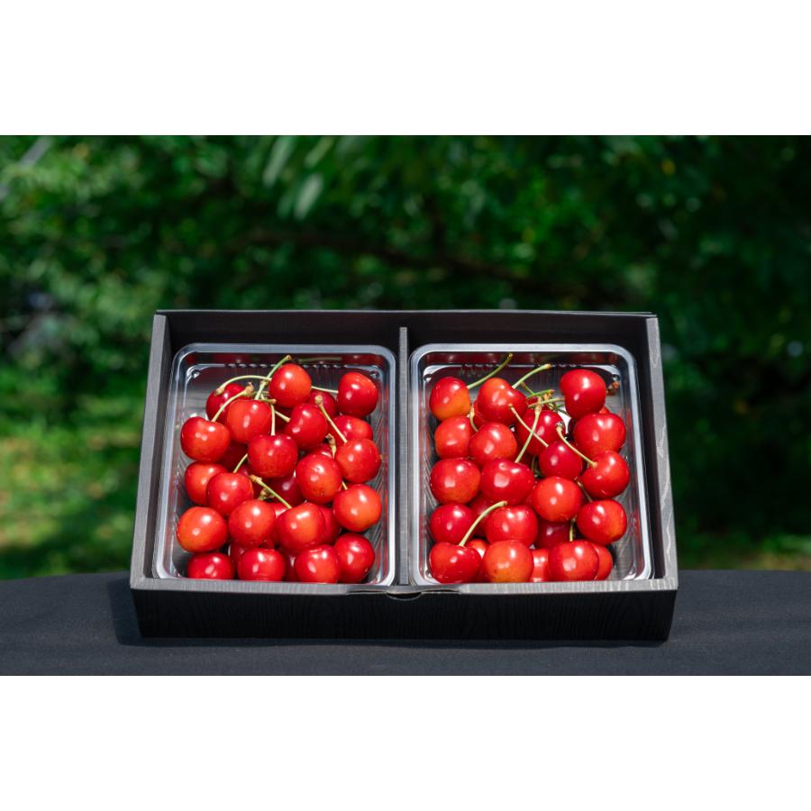 <アンスリーファーム>特秀品Bコース【定期便4回】