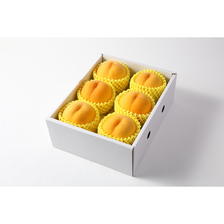 <アンスリーファーム>特秀品Bコース【定期便4回】