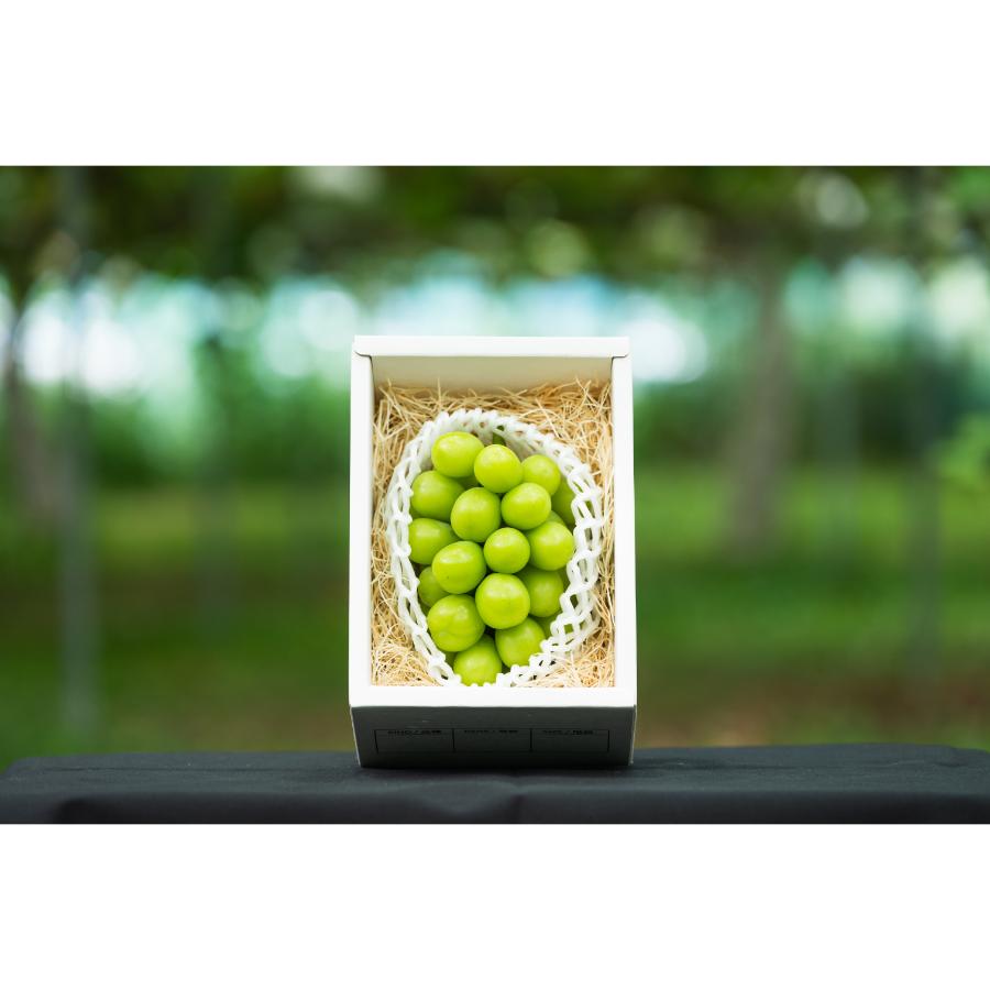 <アンスリーファーム>特秀品Bコース【定期便4回】